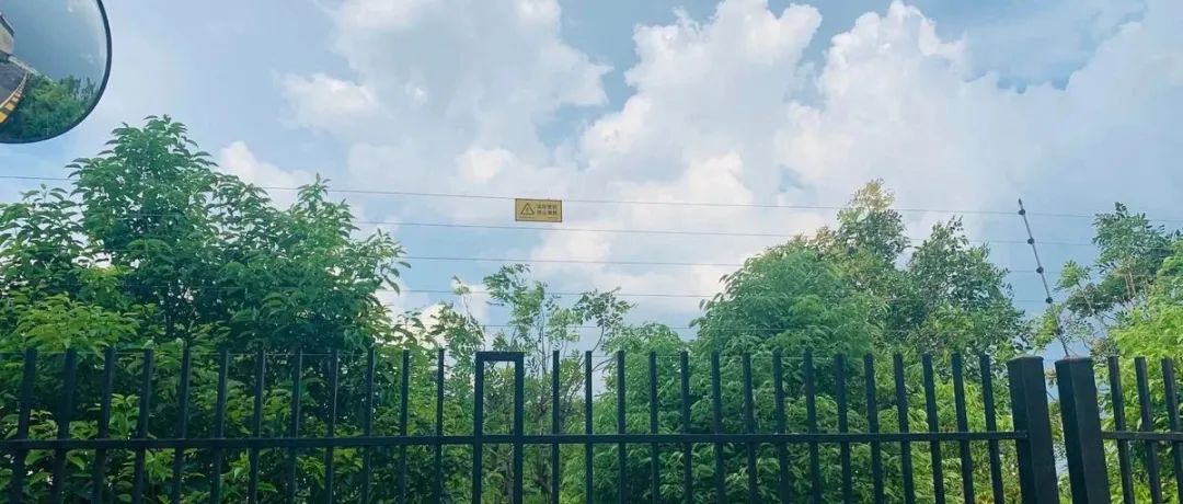 干貨|太全了,振動光纖7大場景的安裝方式圖文詳解!(圖31)